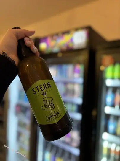 Stern SomPivo Fresh Lager 500 ml (plech)