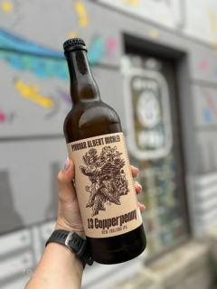 Albert Michler 13 Copperpenny Kveik NEIPA 750 ml (sklo)